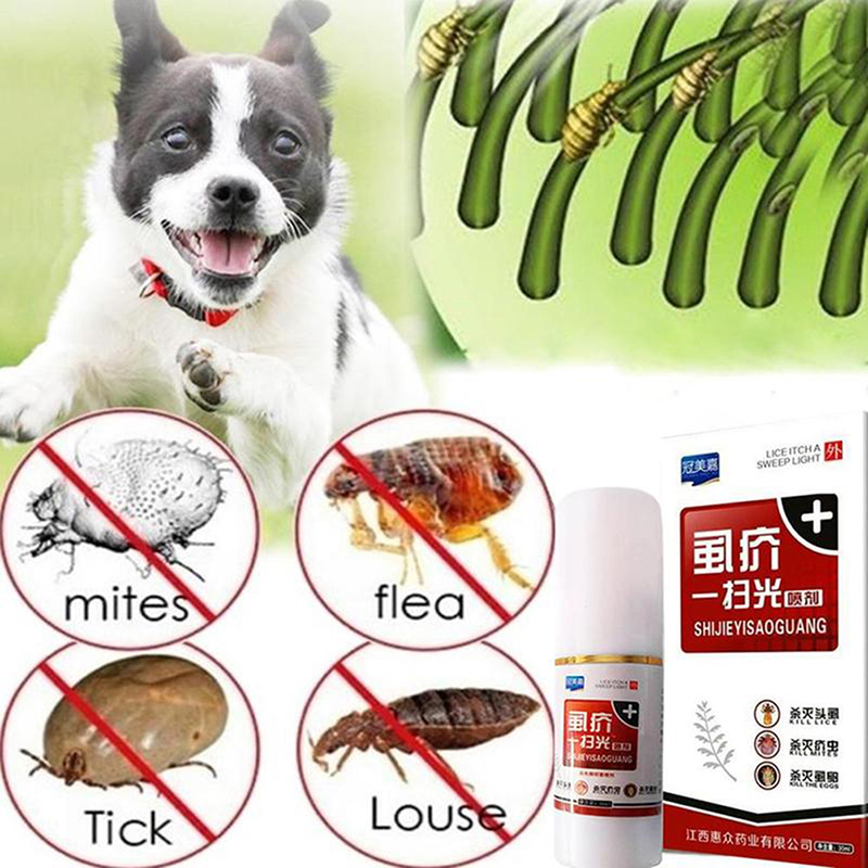 Flea mite outlet treatment dogs