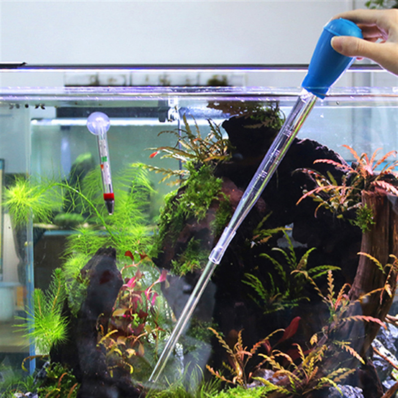 Cleaning & Maintenance Tools for Fish Aquariums