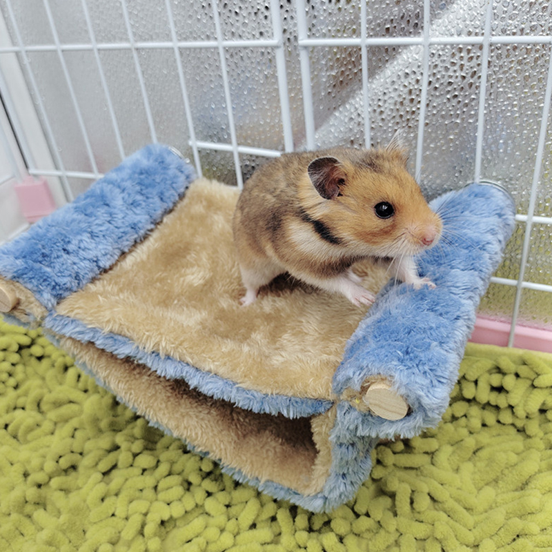 Syrian store hamster bed