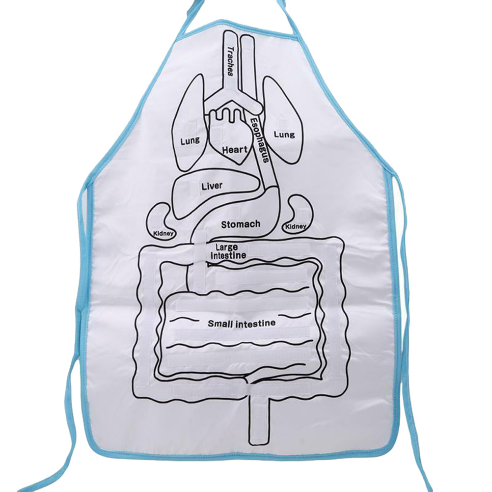 Anatomy apron best sale human body organs